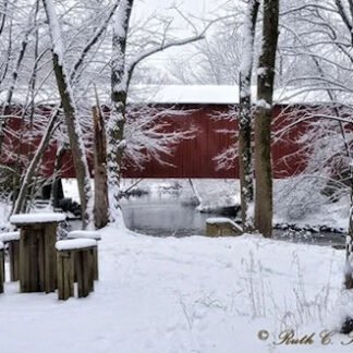 Snowy Afternoon Along Pine Run - New Britain, PA