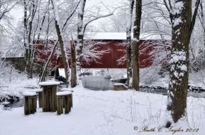 Snowy Afternoon Along Pine Run - New Britain, PA