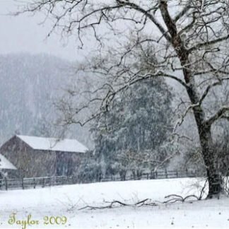 Snowy Morning at Thompson Neely Farm - Holiday Card
