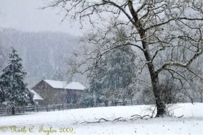 Snowy Morning at Thompson Neely Farm - Holiday Card