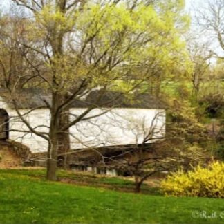 Spring Along Loux Covered Bridge - Plumstead, PA