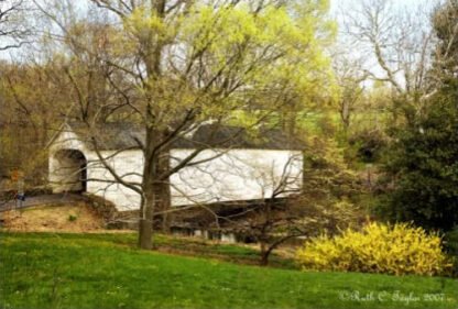Spring Along Loux Covered Bridge - Plumstead, PA