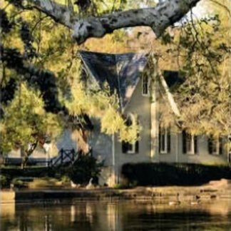 Spring Light at Afton Library - Yardley, PA