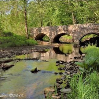 Spring Morning Along Fleecydale - Carversville, PA