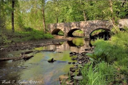 Spring Morning Along Fleecydale - Carversville, PA