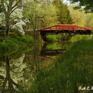 Spring Morning Along the Canal - Delaware Canal, PA