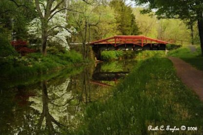 Spring Morning Along the Canal - Delaware Canal, PA