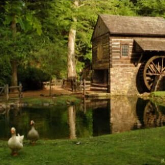 Summer At Bromley Mill - Cutalossa Farm, PA
