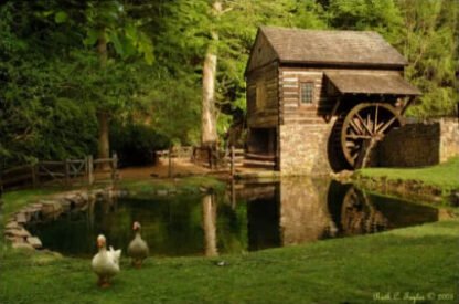 Summer At Bromley Mill - Cutalossa Farm, PA