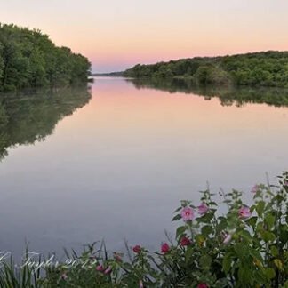 Summer Sunrise, Lake Galena - Doylestown, PA