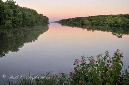 Summer Sunrise, Lake Galena - Doylestown, PA