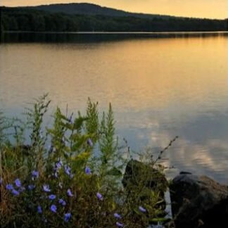 Summer Sunrise - Lake Nockamixon, PA