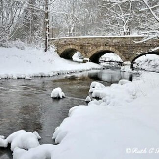 Winter Along Fleecydale - Carversville, PA