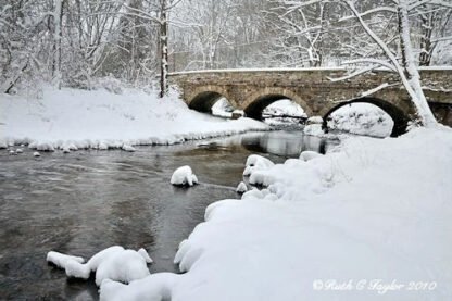 Winter Along Fleecydale - Carversville, PA