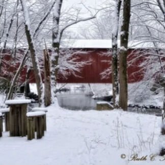 Winter Along Pine Run Creek Covered Bridge - Holiday Card
