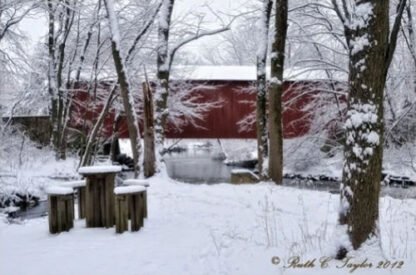 Winter Along Pine Run Creek Covered Bridge - Holiday Card