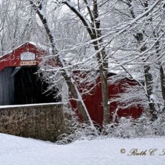 Winter Along Pine Valley Covered Bridge - New Britain, PA
