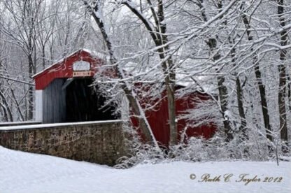 Winter Along Pine Valley Covered Bridge - New Britain, PA