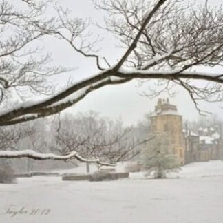 Winter Mist at Fonthill Castle - Doylestown, PA