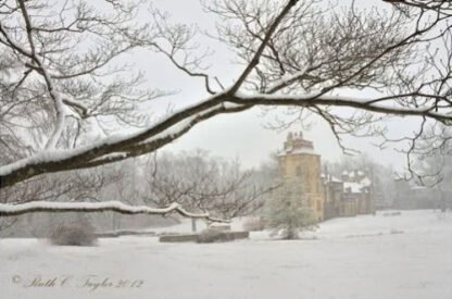 Winter Mist at Fonthill Castle - Doylestown, PA