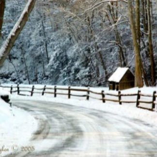 Winter Morning Along Cuttalossa Road - New Hope, PA