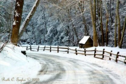Winter Morning Along Cuttalossa Road - New Hope, PA