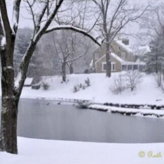 Winter Morning at Foxbriar Farm - Lahaska, PA