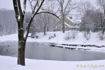 Winter Morning at Foxbriar Farm - Lahaska, PA
