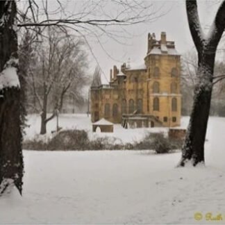 Winter Path to Fonthill Castle - Note Card