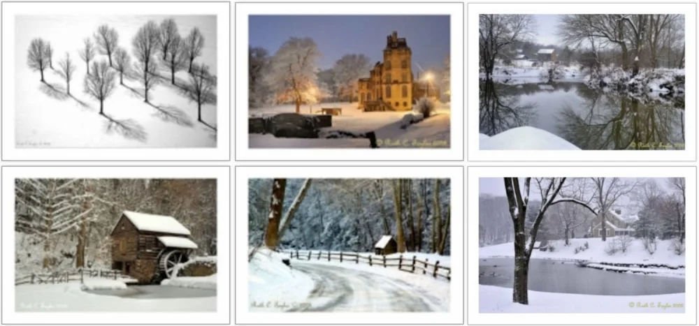 Winter