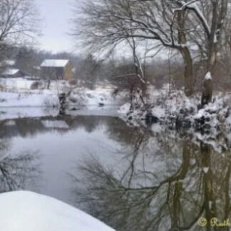 Winters Calm Along Tohickon Creek - Quakertown, PA